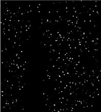 Load image into Gallery viewer, PARADISE OF STARS