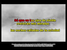 Load and play video in Gallery viewer, MISTY EYES