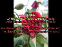 Cargar y reproducir el video en el visor de la galería, ERES LA ROJA ROJA DEL JARDÍN